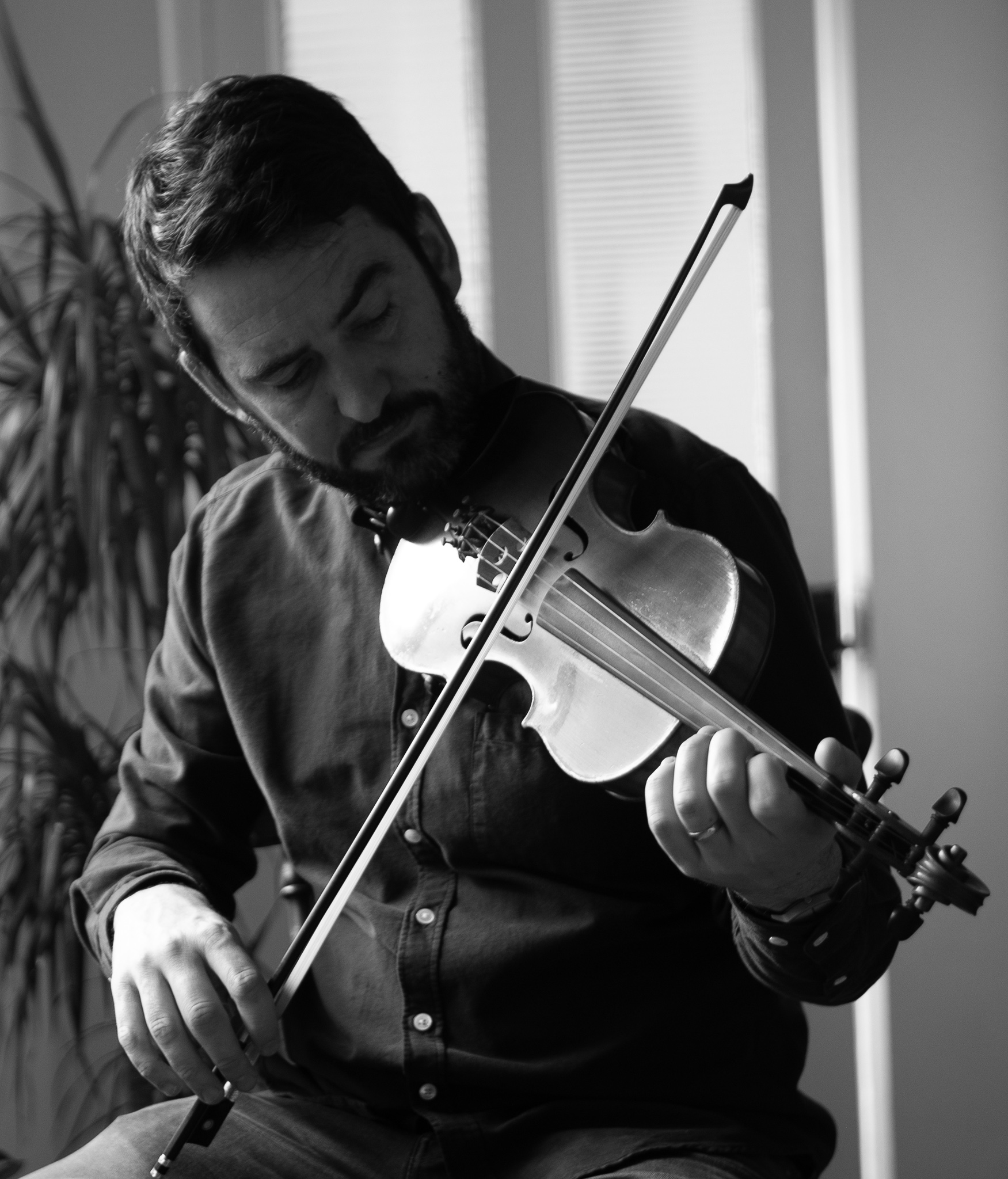 Fiddle - Dermot O’Hanlon